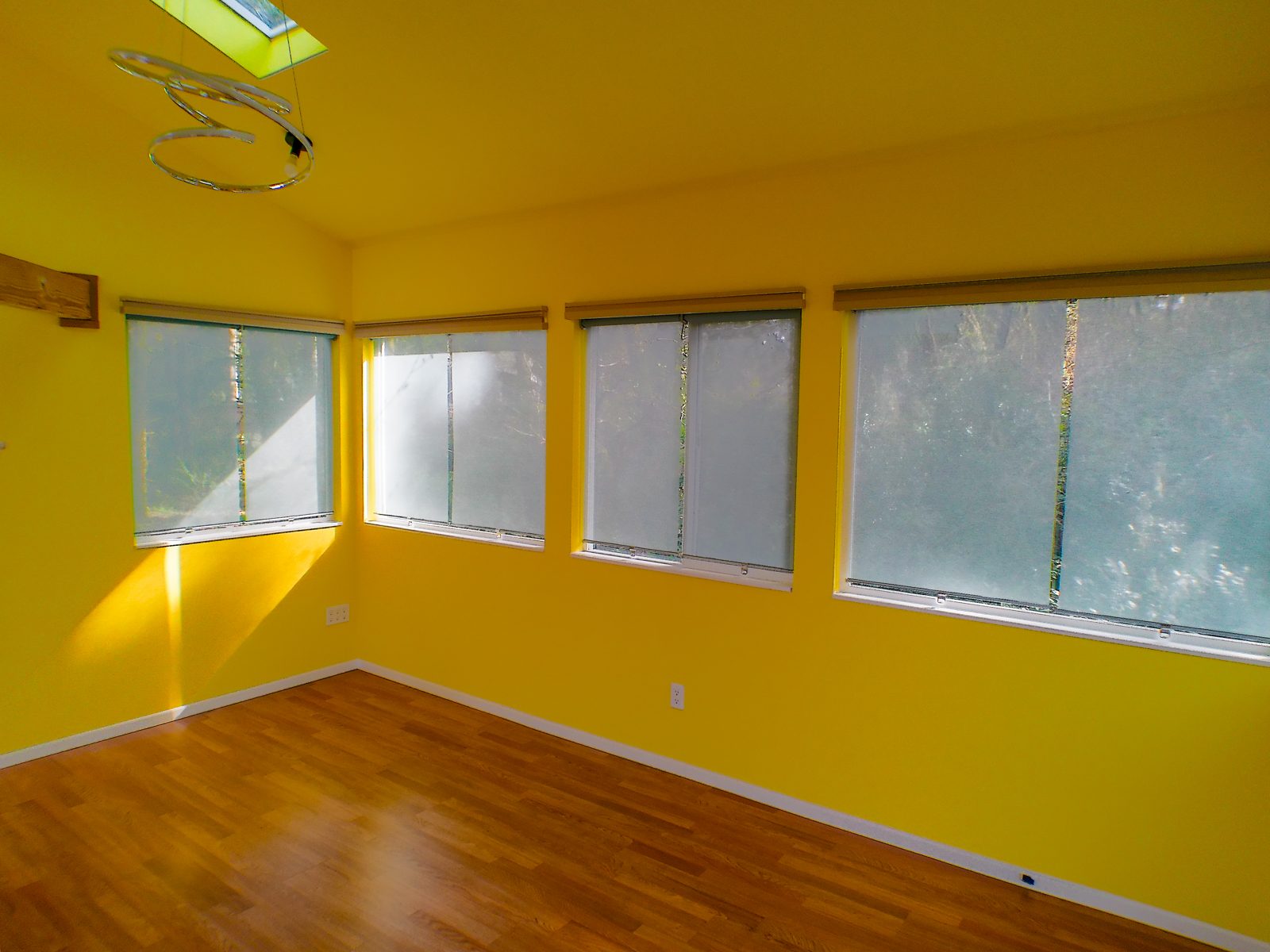 The detached studio measures 16×12 ft with a single sloped roof. Multiple windows and two skylights flood the space with natural light. Features include laminate flooring, power and internet connectivity, and a smart heater.