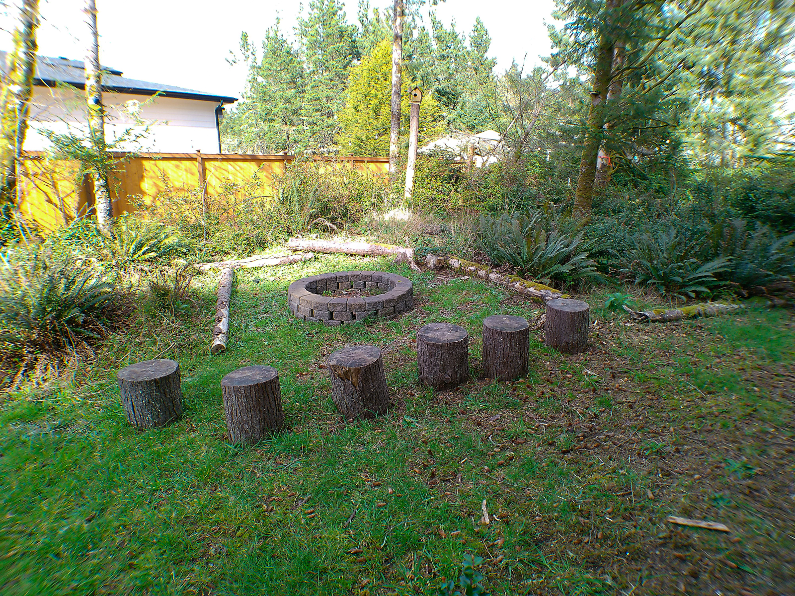 Outdoor Firepit